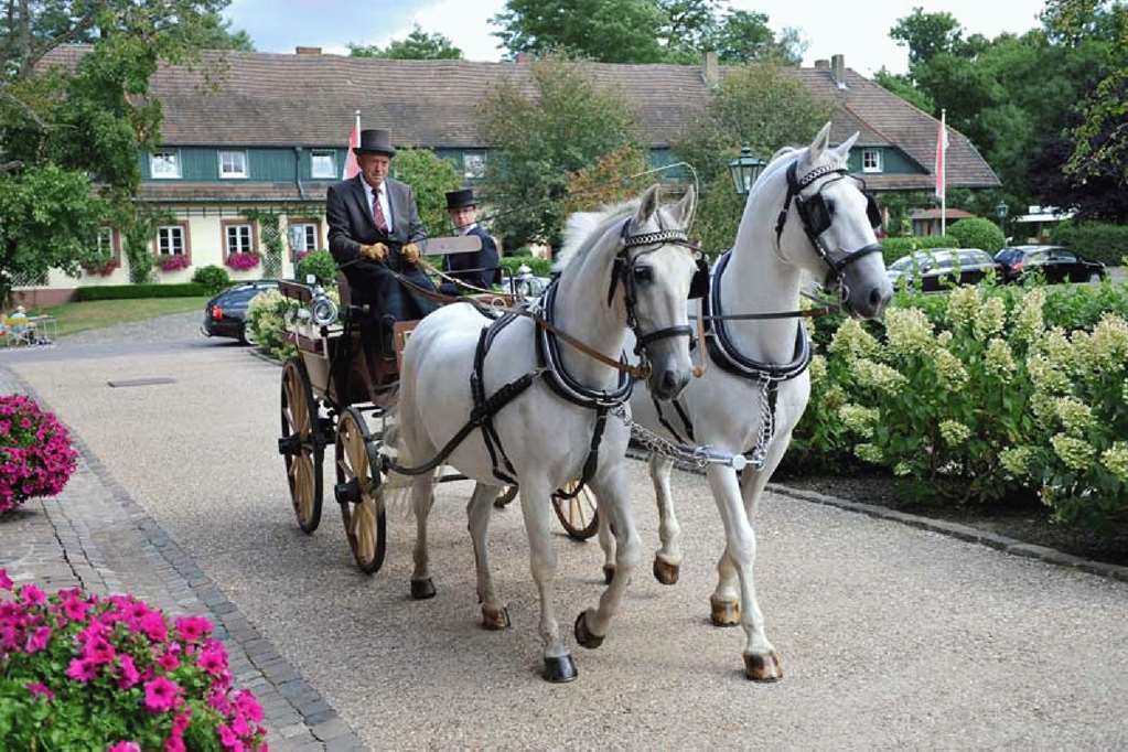 Der Linslerhof - Hotel, Restaurant, Events & Natur Überherrn Interiér fotografie